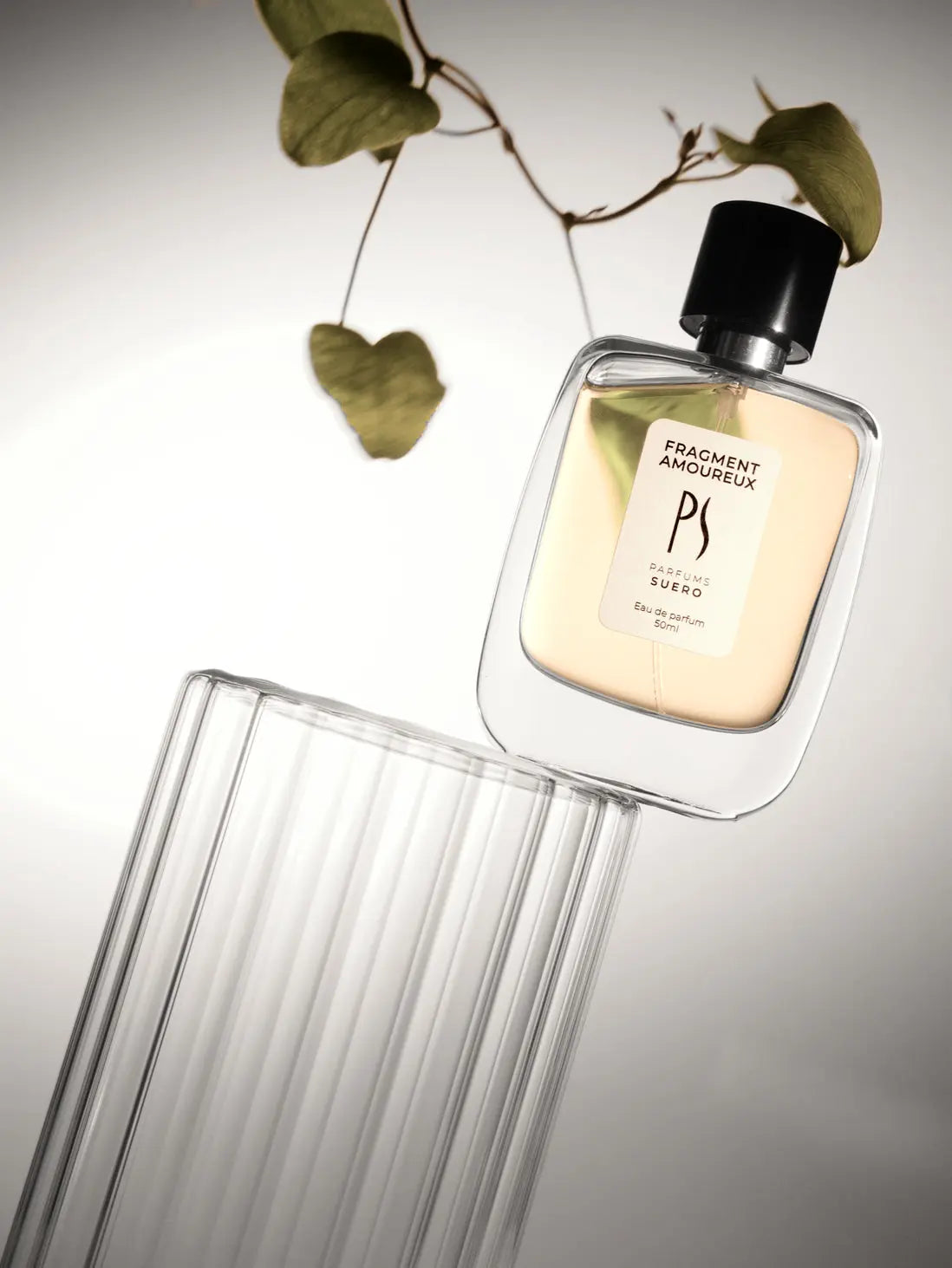 Flacon de parfum Fragment Amoureux de la marque PARFUMS SUERO penché sur un vase, avec une branche de plante formant un cœur en ombre sur le fond