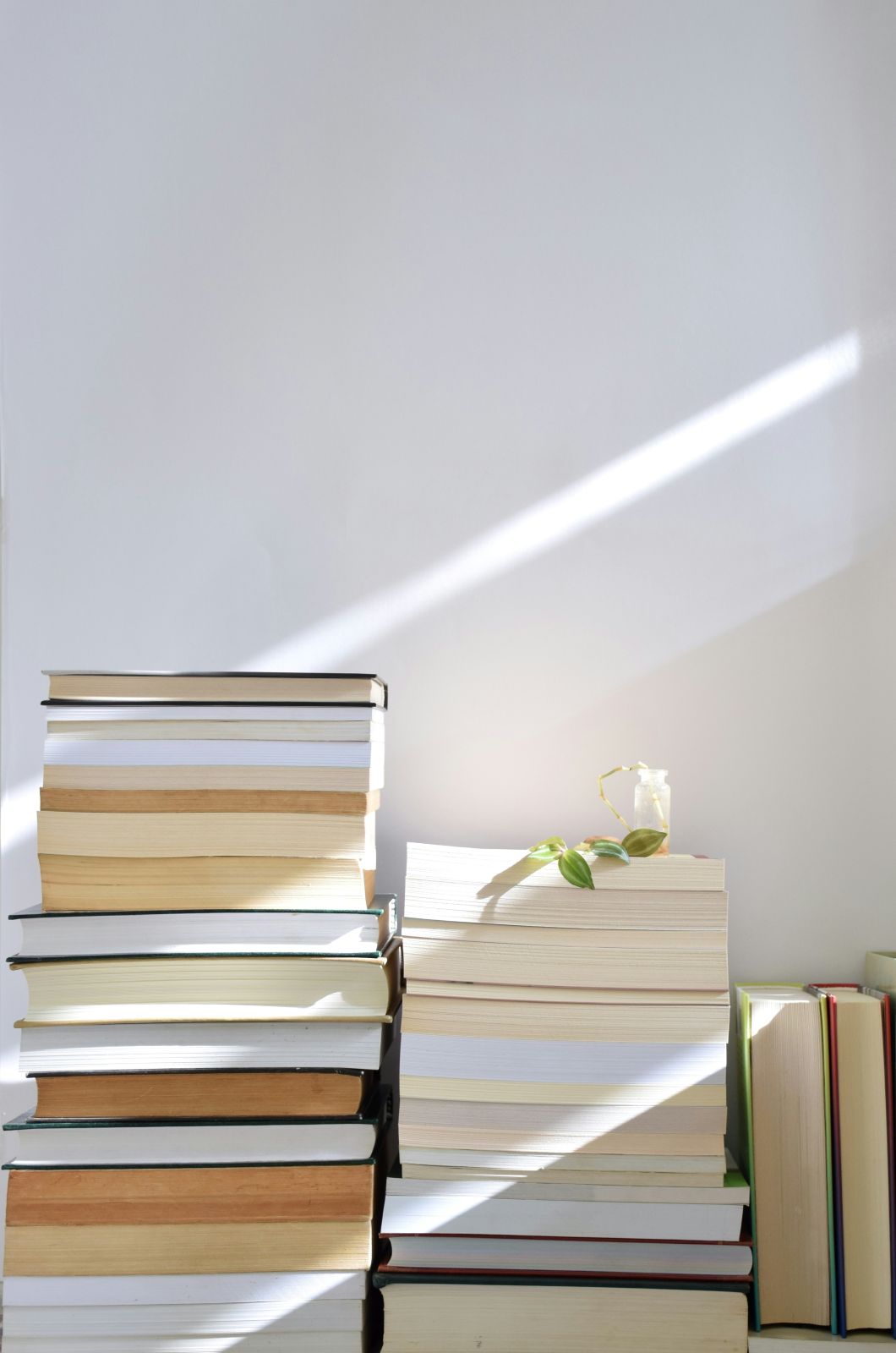 pile de livre sur mur blanc avec rayons de soleil évocation de la douceur du domicile et du plaisir de la lecture